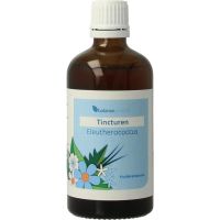 Balance Pharma Eleutherococcus tincturen