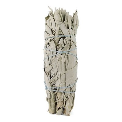 Saliebosje 14 cm 1 stuks - 