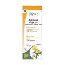 Foto van Physalis Solidago virgaurea bio