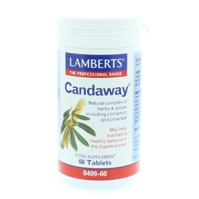 Lamberts Candaway