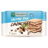 Damhert Crunchies lactosevrij/glutenvrij