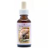 Afbeelding van Animal Essences Beaver (bever)