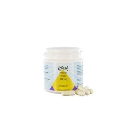 Papaine 500 mg 50 vcaps - Overige vitaminen/mineralen