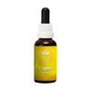Afbeelding van Australian Bush Cognis essence