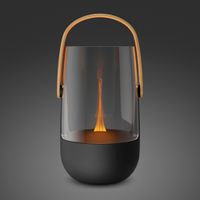 Stadler Diffuser Sophie black