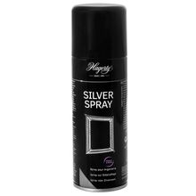 Foto van Hagerty Silver spray