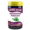 Afbeelding van NHP Andrographis paniculata 500 mg puur