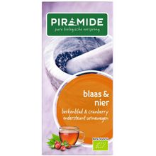 Foto van Piramide Blaas en nierkruiden thee