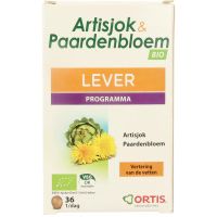 Ortis Artisjok paardenbloem