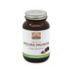 Afbeelding van Mattisson Mucuna pruriens 20% extract- L-dopa