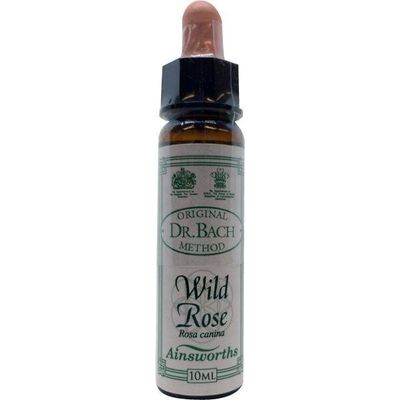 Wild rose Bach