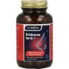 Afbeelding van All Natural Echinacea forte plus cats claw