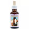 Afbeelding van Animal Essences Wild horse (wild paard)