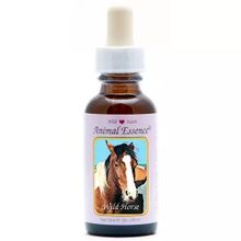 Foto van Animal Essences Wild horse (wild paard)