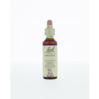 Impatiens / reuzebalsemien