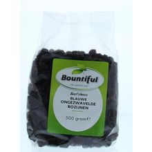 Foto van Bountiful Rozijnen blauw ongezwaveld