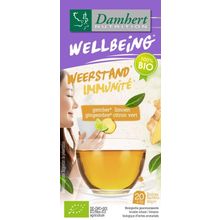 Foto van Damhert Tea time gember limoenthee
