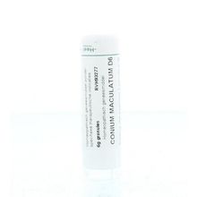 Homeoden Heel Conium maculatum D6 Foto van Homeoden Heel Conium maculatum D6