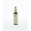 Afbeelding van Beech / beuk