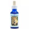 Afbeelding van Animal Essences Lion cub (leeuwenwelp)