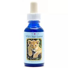 Foto van Animal Essences Lion cub (leeuwenwelp)