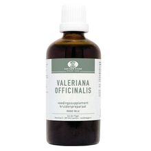 Foto van Pigge Valeriaantinctuur