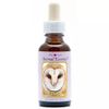 Afbeelding van Animal Essences Owl (uil)