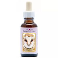 Animal Essences Owl (uil)