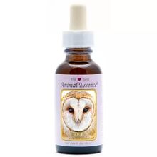 Foto van Animal Essences Owl (uil)