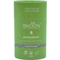 Skoon Deostick fresh to the max