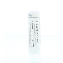 Foto van Homeoden Heel Viscum album D12