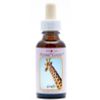 Afbeelding van Animal Essences Giraffe (giraf)