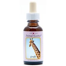 Foto van Animal Essences Giraffe (giraf)
