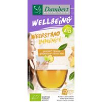 Damhert Tea time gember limoenthee