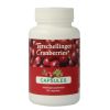 Afbeelding van Terschellinger Cranberry