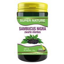 Foto van SNP Sambucus nigra zwarte vlierbes