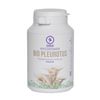 Afbeelding van Mycopower Pleurotus bio