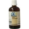 Afbeelding van GO Rubus frucicosus bio