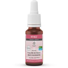 Foto van Lemonpharma Bach Bach bloesems mengeling 40 energie