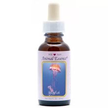 Foto van Animal Essences Jellyfish (kwal)