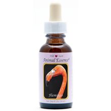 Foto van Animal Essences Flamingo