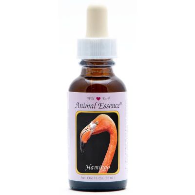 Animal Essences Flamingo