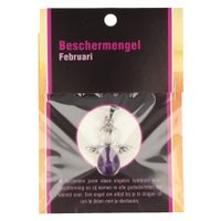 Beschermengel februari