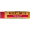 Afbeelding van Burts Bees bb lipbalm watermelon