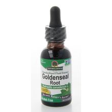 Foto van Natures Answer Canadese geelwortel extract alcoholvrij 500 mg