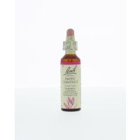 Sweet chestnut / tamme kastanje