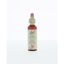 Foto van Sweet chestnut / tamme kastanje