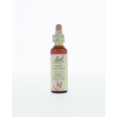 Foto van Sweet chestnut / tamme kastanje