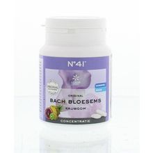Foto van Lemonpharma Bach Bach Bloesem kauwgom No 41 concentratie