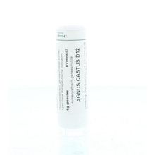 Foto van Homeoden Heel Agnus castus D12